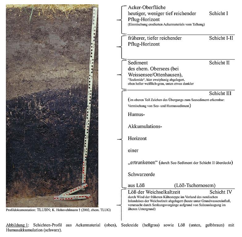 Profil Archivboden Ackermaterial, Seekreide und Löß