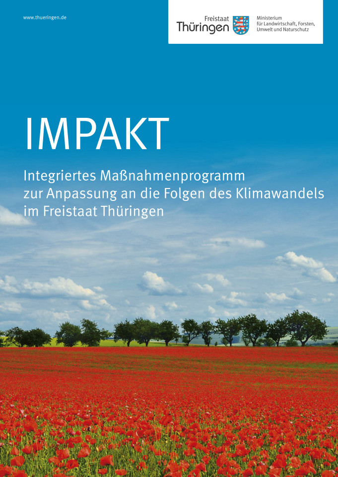Deckblatt IMPAKT eins von 2013