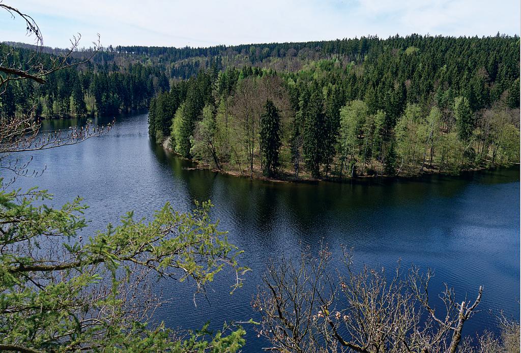 Das Foto zeigt den Blick auf den Stausee Burgkhammer. Dunkelblau erscheinendes Wasser wird von dichtem Baumbestand umgeben.