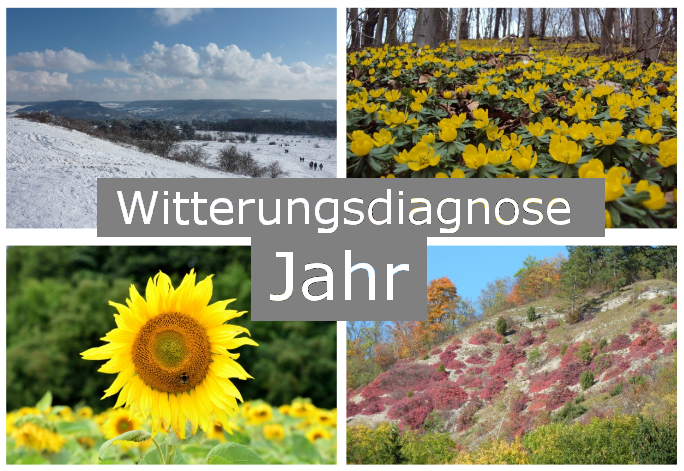 Witterungsdiagnose Jahr