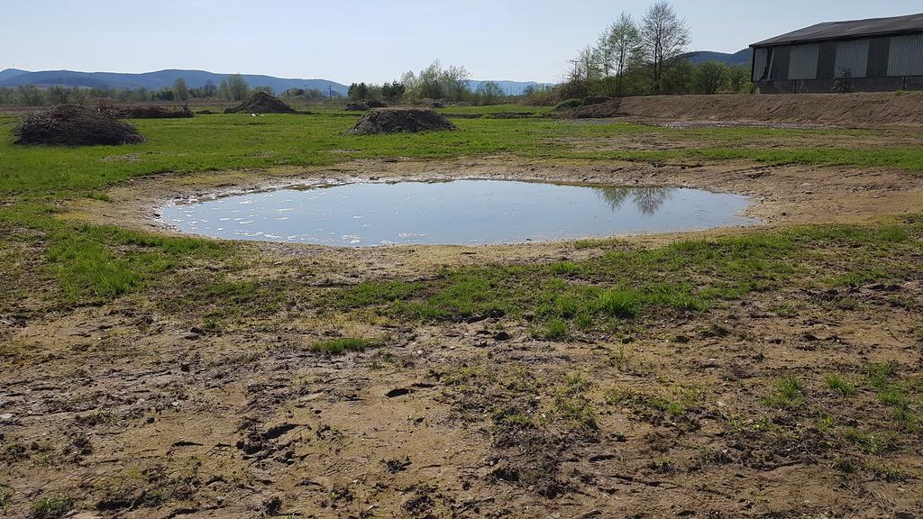 Kompensationsmaßnahme: Anlage eines Tümpels für Amphibien bei Etzelbach