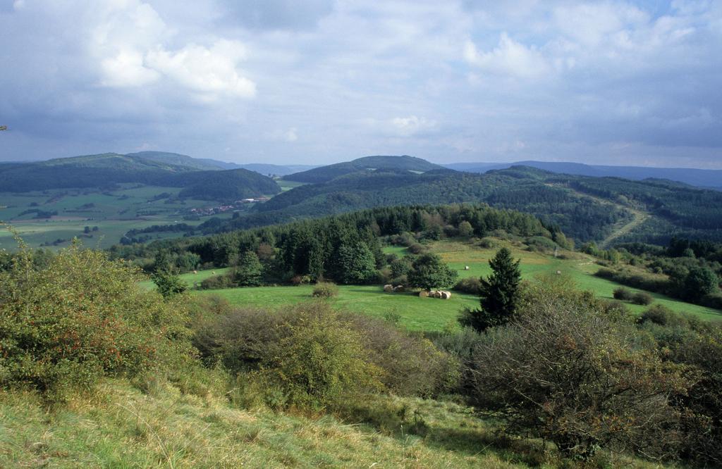 Das Grüne Band bietet vielfältige Möglichkeiten der Biotopvernetzung - Biosphärenreservat Rhön bei Geisa (Aufn. H. Wenzel)