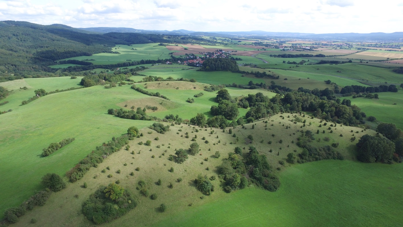Natürlich mäandrierendes Fließgewässersystem schafft multifunktionale Vernetzungskorridore, FFH-Gebiet "Ilmtal zwischen Bad Berka und Weimar mit Buchfarter Wald"