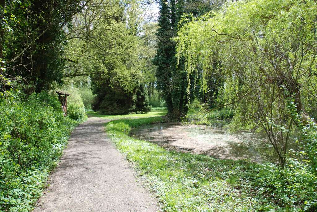 Vogelschutzpark an der Burg Seebach