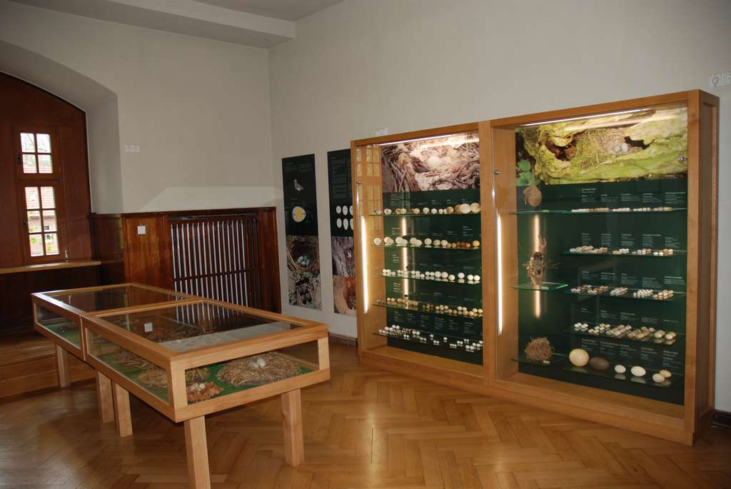 Eiersammlung in der Vogelschutzwarte Seebach