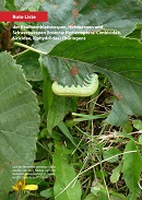 Deckblatt Rote Liste Keulhornblattwespen, Holzwespen und Schwertwespen