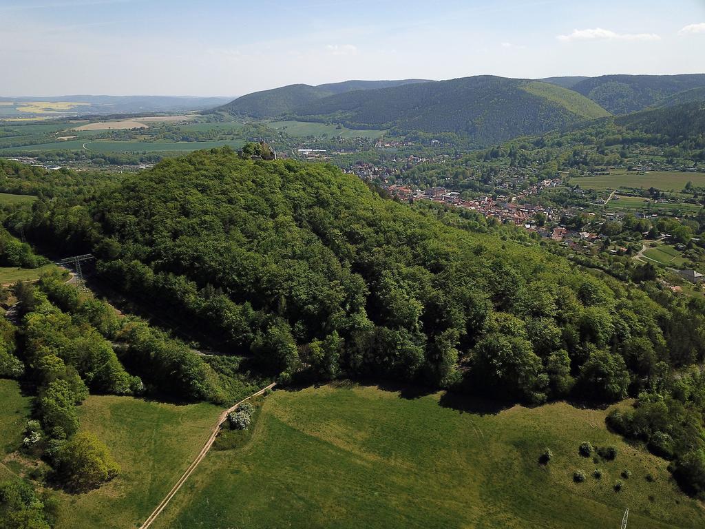 Blick von Nordwesten auf den Hausberg (mit der Burg Greifenstein) im NSG „Greifenstein und östliche Gölitzwände“ bei Bad Blankenburg (Lkr. Saalfeld-Rudolstadt). (Aufn. Holm Wenzel 08.05.2020)