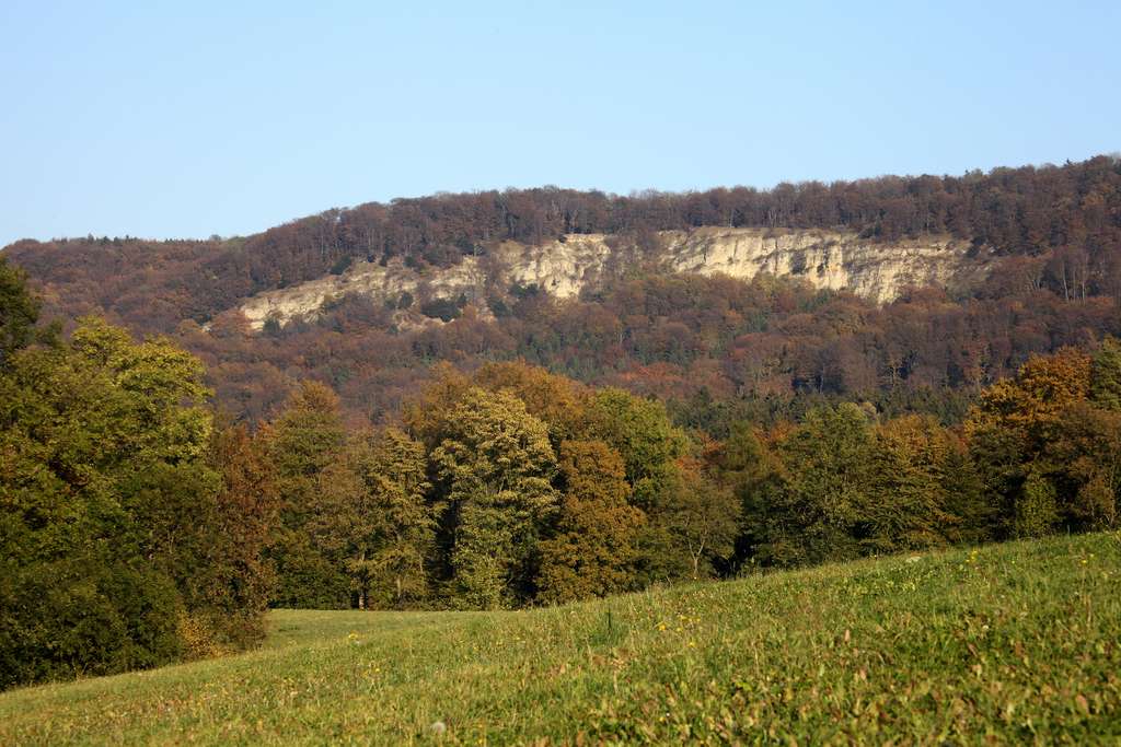 Blick auf Dietzenröder Klippen bei Asbach im NSG „Stein – Rachelsberg“ (Lkr. Eichsfeld). (Aufn. Holm Wenzel 23.10.2011)