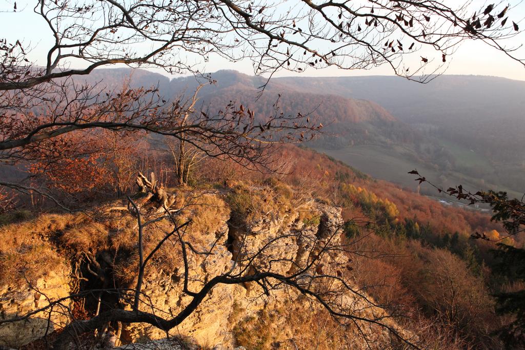 Die Nase bei Asbach mit Blick zum Iberg und Hesselkopf im NSG „Stein – Rachelsberg“ (Lkr. Eichsfeld. (Aufn. Holm Wenzel 06.11.2011)