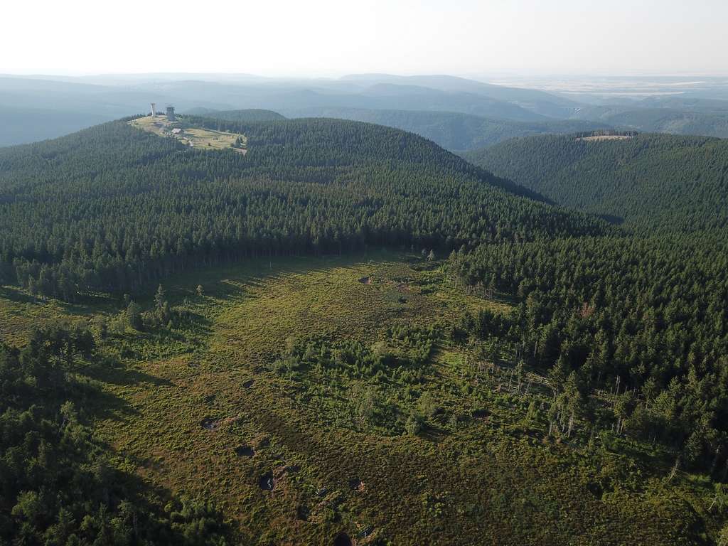 Kernzone „Schneekopfmoor am Teufelskreis“ im Biosphärenreservat „Thüringer Wald“ (Aufn. Holm Wenzel 30.06.2019)