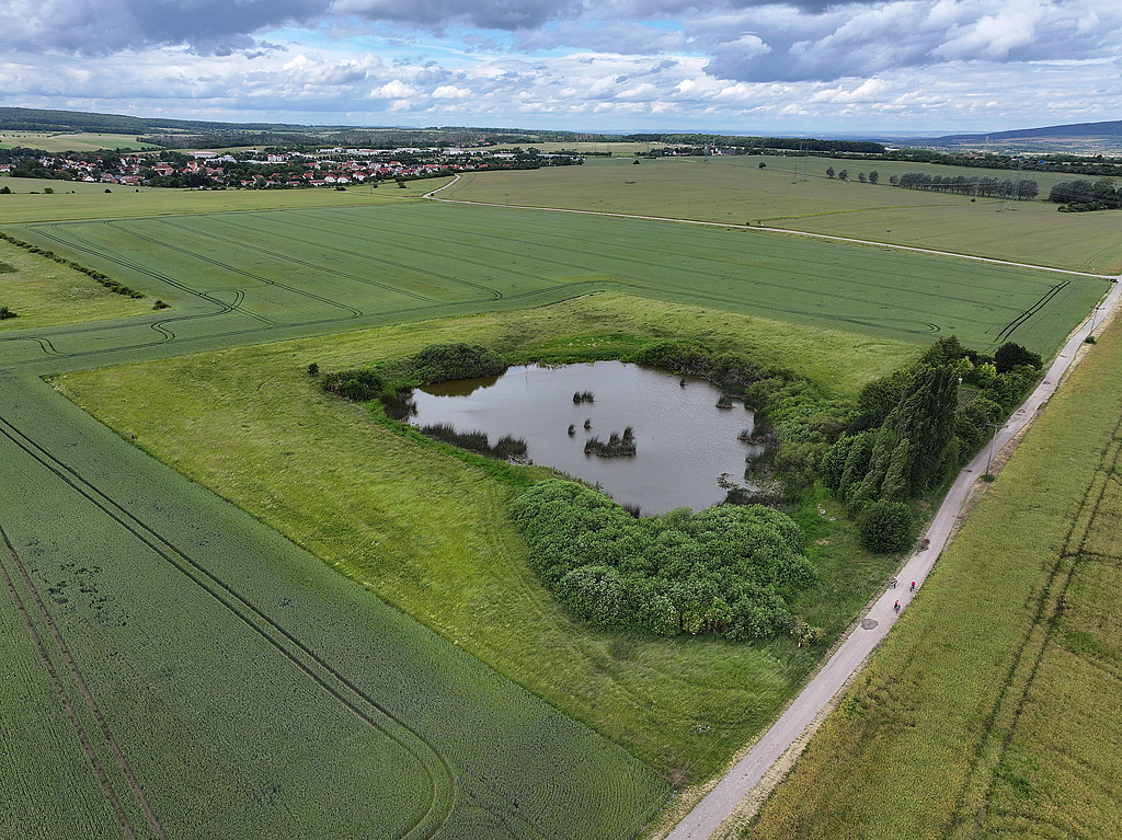 Geschützter Landschaftsbestandteil „Tobritzteich bei Possendorf“ (kreisfreie Stadt Weimar). (Foto: Holm Wenzel 16.06.2024)