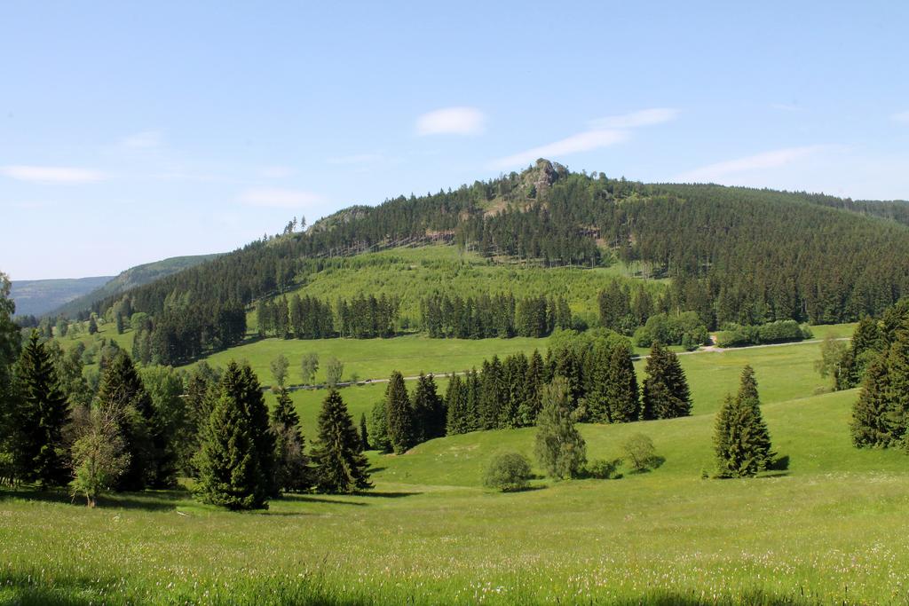 LSG "Thüringer Wald" (Nr. 62): Blick über den Kanzlersgrund nach Norden zum Hohen Stein bei Oberschönau (Lkr. Schmalkalden-Meiningen). (Aufn. Holm Wenzel 08.06.2014)