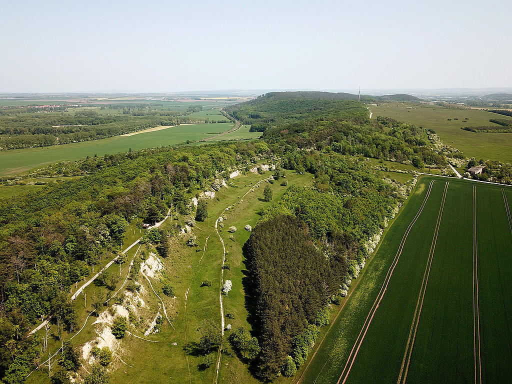 NSG 379, Blick von Westnordwest vom Kleinen zum Großen Seeberg zwischen Gotha und Seebergen (Landkreis Gotha). Links oben: NSG „Siebleber Teich“ (Nr. 39), rechts oben: ehemaliger Standortübungsplatz Gotha, jetzt Nationales Naturerbe im Eigentum der Deutschen Bundesstiftung Umwelt (DBU) Naturerbe GmbH und geplante Erweiterung des NSG „Seeberg“. (Foto: Holm Wenzel, 27.05.2023)