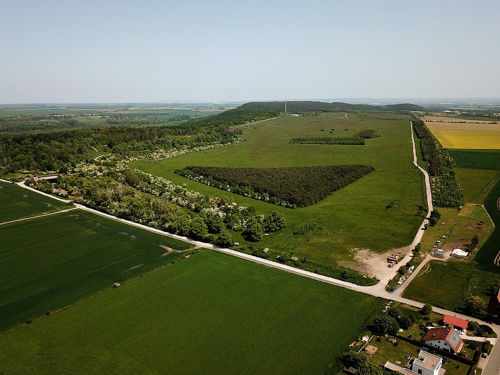 NSG 379, Blick von Westnordwest über den ehemaligen Standortübungsplatz Gotha, jetzt Nationales Naturerbe im Eigentum der Deutschen Bundesstiftung Umwelt (DBU) Naturerbe GmbH und geplante Erweiterung des NSG „Seeberg“, auf den Seeberg zwischen Gotha und Seebergen (Landkreis Gotha). Hinten: der Große Seeberg. (Foto: Holm Wenzel, 27.05.2023)