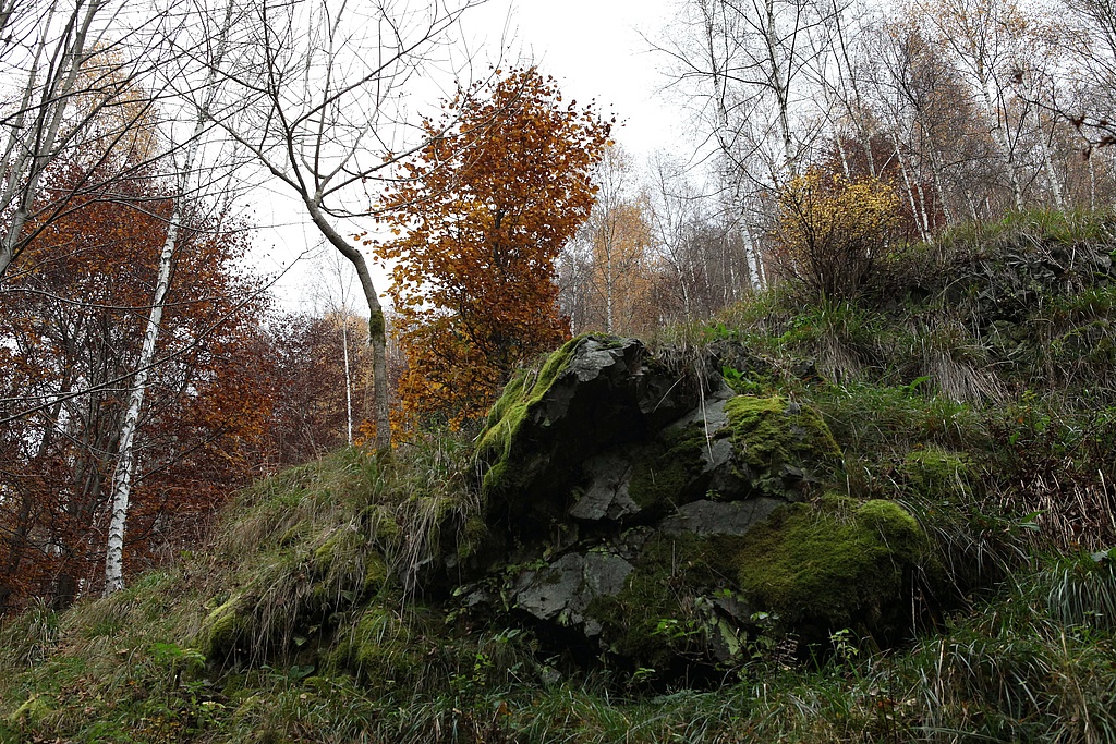 NSG 2, forstlich nicht mehr genutzter Wald am östlichen Unterhang im Süden des Tals der Großen Lindenhöhle mit Grauwacke-Felsdurchragung (geplante Erweiterung des NSG „Gräfenthal“, Landkreis Nordhausen). (Foto: Holm Wenzel, 05.11.2011)