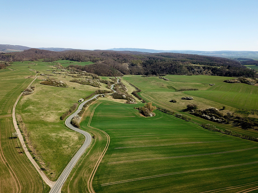 NSG 3, Blick von Nordwesten über den Singerberg nördlich Steigerthal zum nördlichen und nordwestlichen Teil des Alten Stolberges, beides zum NSG „Alter Stolberg“ (Landkreis Nordhausen) gehörend. (Foto: Holm Wenzel, 17.04.2022)