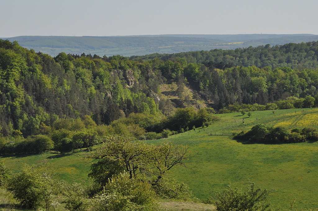 NSG 3, Blick von Nordnordwesten vom Singerberg zum Schellenberg nordöstlich Steigerthal im Nordwesten des NSG „Alter Stolberg“ (Landkreis Nordhausen). (Foto: Holm Wenzel, 01.05.2011)