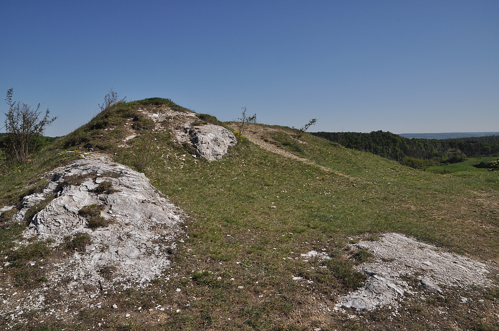 NSG 3, Komplex aus Pionierrasen und Steppenrasen über Gips am Singerberg nördlich Steigerthal im NSG „Alter Stolberg“ (Landkreis Nordhausen). (Foto: Holm Wenzel, 01.05.2011)