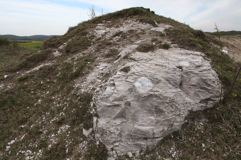 NSG 3, Gipsfelsen mit Alabasterknollen am Singerberg nördlich Steigerthal im NSG „Alter Stolberg“ (Landkreis Nordhausen). (Foto: Holm Wenzel, 29.04.2012)