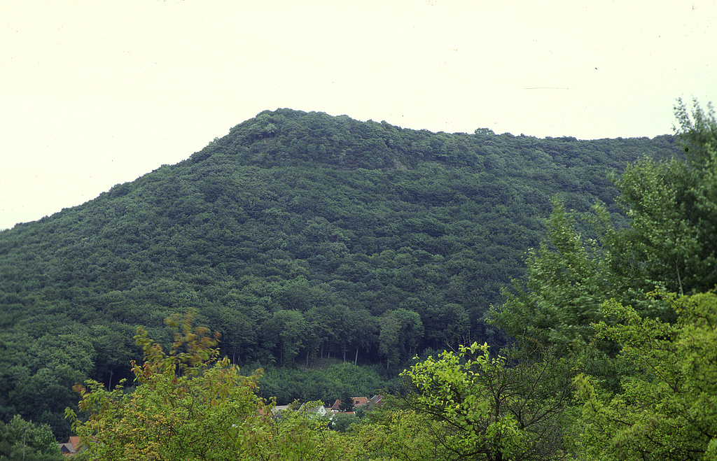 NSG 5, Blick von Osten über den Südteil von Hainrode auf den Nordwesten des NSG „Wöbelsburg“ (Landkreis Nordhausen), einem Muschelkalkrücken und –sporn der Hainleite. (Foto: Holm Wenzel, 19.07.2000)