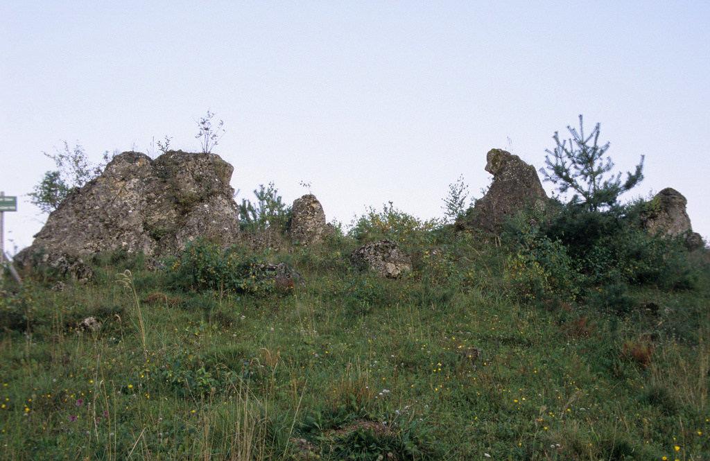 NSG 008, Dolomitklippen des Oberen Zechsteins, umgeben von Kalk-Halbtrocken und –pionierrasen, hier: „Spitzer Stein“ im NSG „Hasenwinkel“ südwestlich von Fretterode (Landkreis Eichsfeld). (Foto: Holm Wenzel, 27.09.2009)