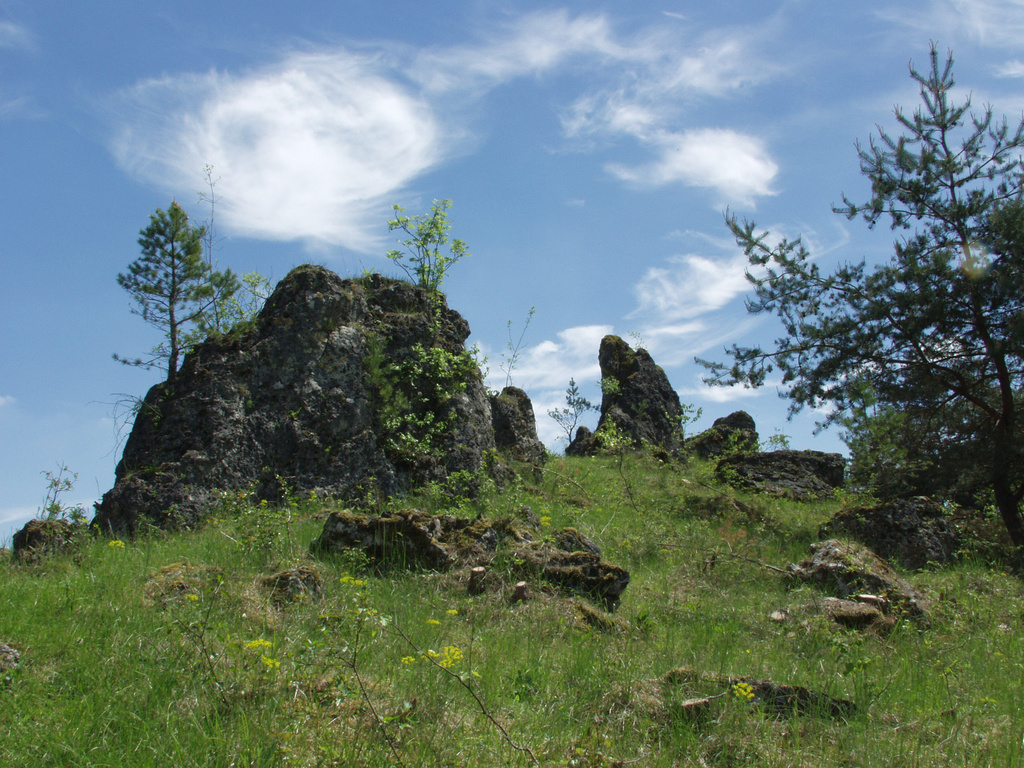 NSG 008: Dolomitklippen des Oberen Zechsteins, umgeben von Kalk-Halbtrocken und –pionierrasen, hier: „Spitzer Stein“ im NSG „Hasenwinkel“ südwestlich von Fretterode (Landkreis Eichsfeld). (Foto: SALIX/Archiv TLUBN, 17.05.2017).