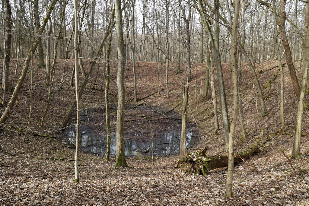 NSG 013, wassergefüllter Erdfall im Totalreservat des NSG „Hotzenberg“, Wiederholungsaufnahme des vorherigen Bildes nach 18 Jahren. (Foto: Holm Wenzel, 17.03.2023)