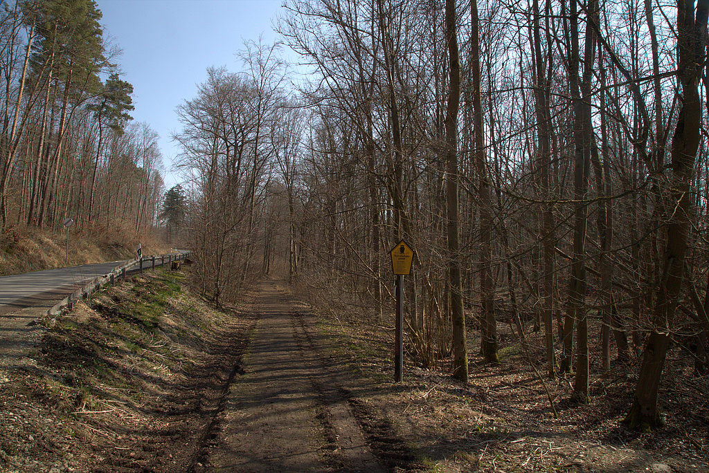 NSG 17, westlicher „Eingang“ in das NSG „Volkenroder Wald“ (Unstrut-Hainich-Kreis) im Schaftal von der Straße Volkenroda – Obermehler aus. (Foto: Holm Wenzel, 20.03.2022)