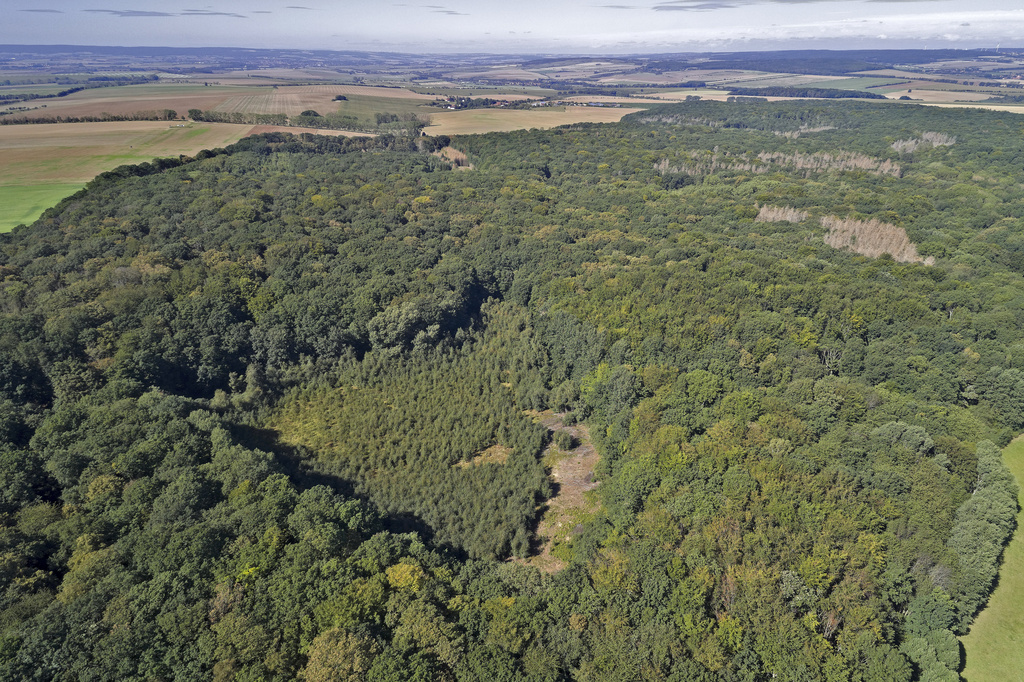 NSG 018, Blick von Osten auf das NSG „Sonder“ mit dem Erdfall „Großer Hanfsee“ im Süden (vor Gehölzentfernung auf der Fläche des Sauer-Zwischenmoores) und dem ihn umgebenden Totalreservat nördlich von Neunheilingen (Unstrut-Hainich-Kreis). (Foto: V. Lautenbach/ThINK GmbH/Archiv TLUBN, 09.09.2020)