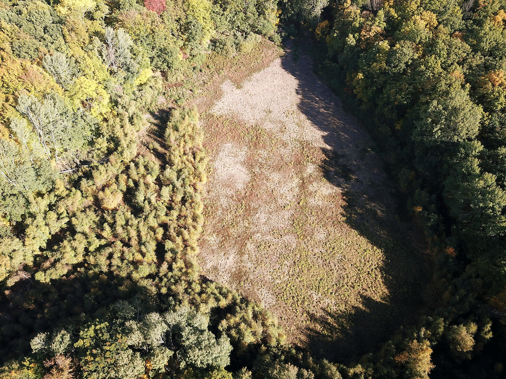 NSG 018, Blick von Westnordwest auf den Erdfall „Großer Hanfsee“ im NSG „Sonder“ (nach neuerlicher Gehölzentfernung im Winter 2021/22 auf der Fläche des Sauer-Zwischenmoores). (Foto: Holm Wenzel, 16.10.2022)