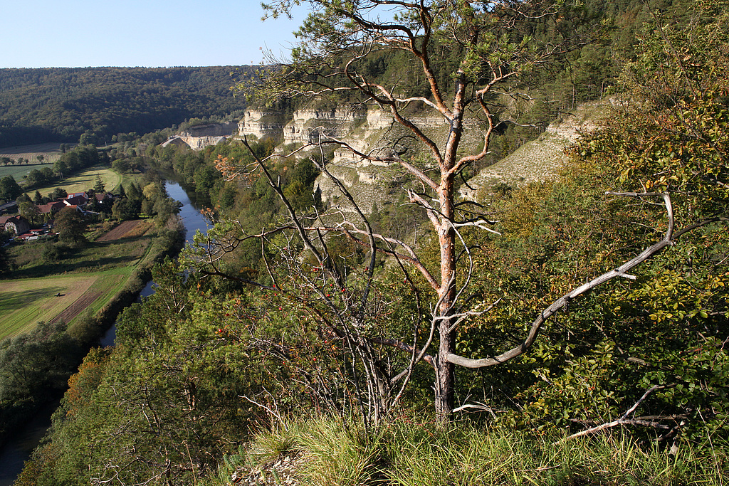 NSG 24, Blick von Südsüdosten zu den Nordmannssteinen oberhalb (rechtsseitig) der Werra und dahinter zum damals noch in Betrieb befindlichen Kalksteinbruch Buchenau im NSG „Klosterholz und Nordmannssteine“ (Wartburgkreis). Links: Siedlung Ebenau (Gemeinde Amt Creuzburg) (Foto: Holm Wenzel, 25.09.2011)