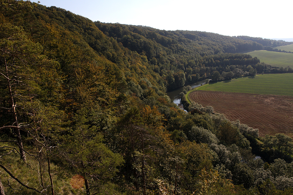 NSG 24, Blick von den Nordmannssteinen nach Südwesten auf den südwestlichen Teil des NSG „Klosterholz und Nordmannssteine“ (Wartburgkreis) mit dem Klosterholz. (Foto: Holm Wenzel, 25.09.2011)