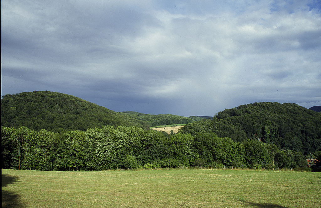 NSG 31, Blick vom Wolfsberg Kittelsthal nach Ostsüdost auf die fast runden Bergkegel (Riffkalkhärtlinge) des Großen (links) und des Kleinen (rechts) Ebertsberges im NSG „Ebertsberge“ nördlich Thal (Wartburgkreis). (Foto: Holm Wenzel, 08/2001)