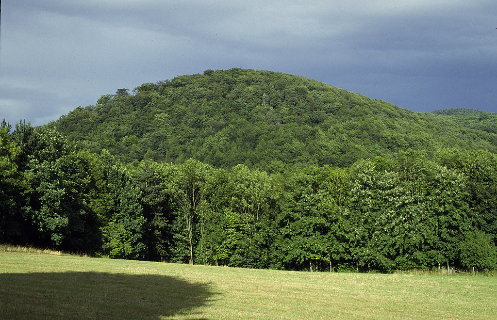 NSG 31, Blick vom Wolfsberg Kittelsthal nach Ostnordost auf den fast runden Bergkegel (Riffkalkhärtling) des Großen Ebertsberges (397,6 m ü. NHN) im NSG „Ebertsberge“ nördlich Thal (Wartburgkreis). (Foto: Holm Wenzel, 08/2001)
