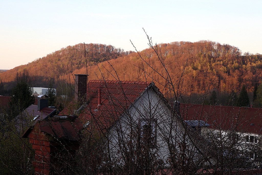 NSG 31, Blick von Südsüdwest (von der Glockenstraße in Thal) auf die Bergkegel (Riffkalkhärtlinge) des Großen (links) und des Kleinen (rechts) Ebertsberges im NSG „Ebertsberge“ nördlich Thal (Wartburgkreis). (Foto: Holm Wenzel, 11.04.2020)
