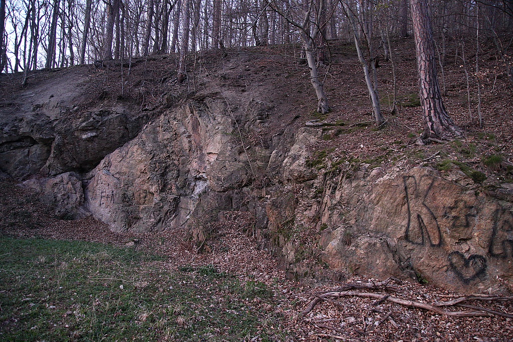 NSG 31, geologischer Aufschluss an der Südwestseite des Großen Ebertsberges im NSG „Ebertsberge“ bei Thal (Wartburgkreis). (Foto: Holm Wenzel, 11.04.2020)