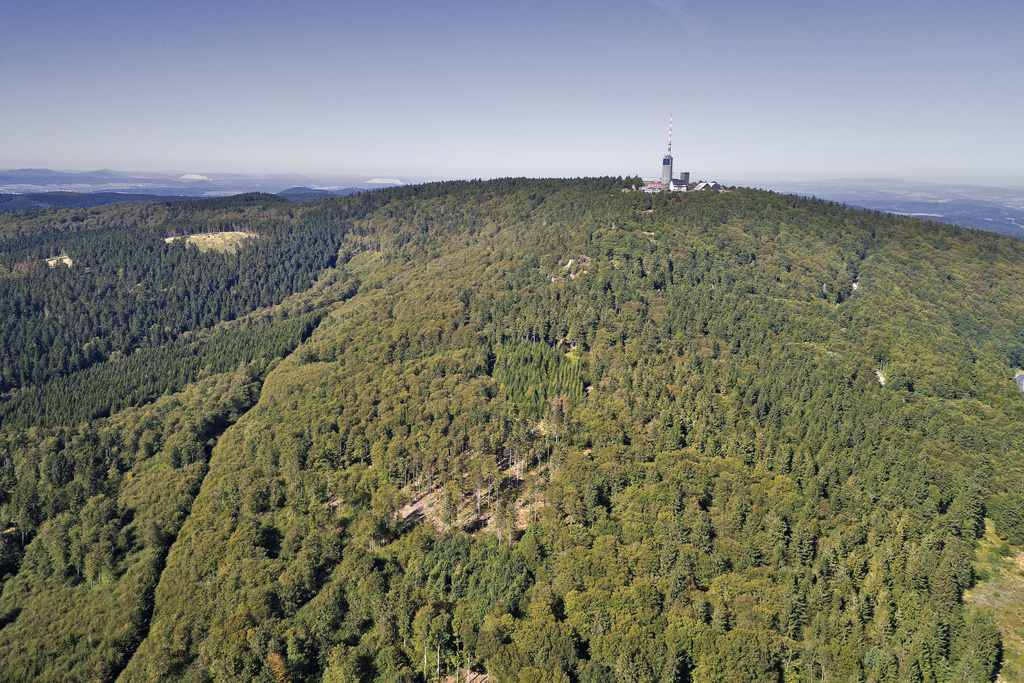 NSG 038, Blick von Südosten auf den Großen Inselsberg (Landkreise Schmalkalden-Meiningen und Gotha) mit den Reitsteinen. (Foto: V. Lauterbach/ThINK GmbH/Archiv TLUBN, 18.09.2020)
