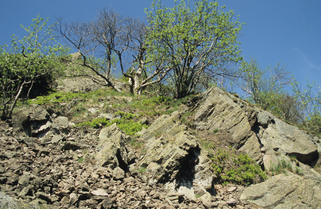 NSG 038, Felsklippen und Blockhalde der Reitsteine auf der Südostseite des Großen Inselsbergs (Landkreise Schmalkalden-Meiningen und Gotha). (Foto: Holm Wenzel, 29.04.2007)