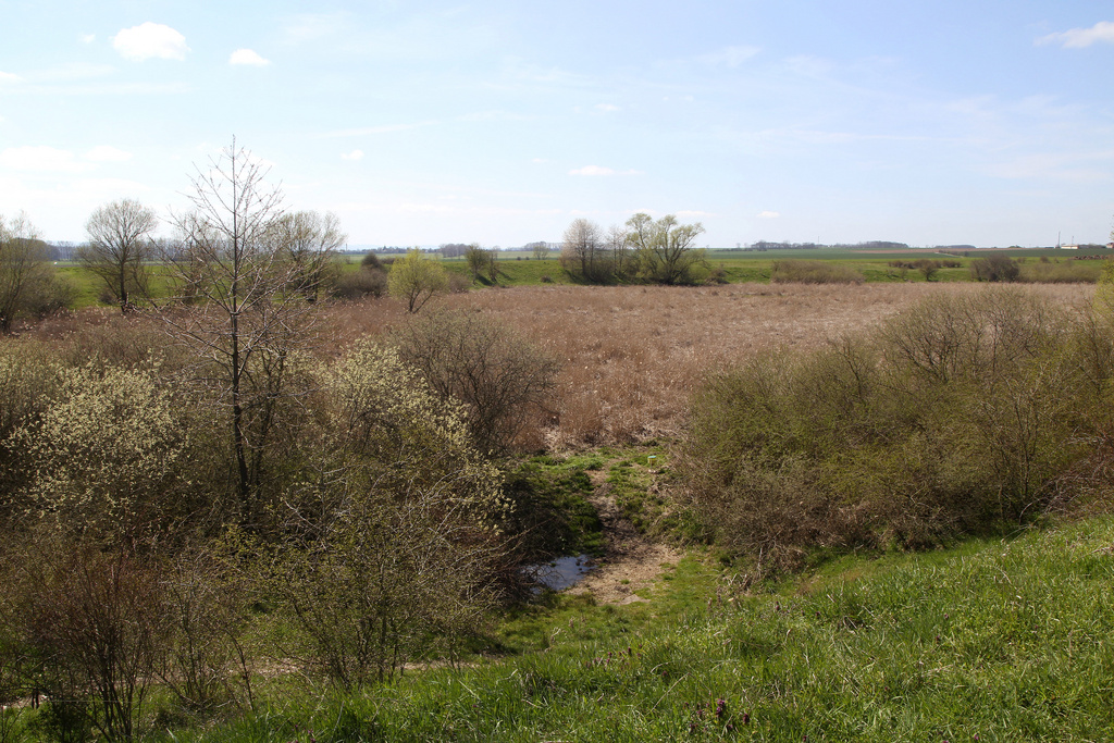 NSG 044, Blick von der Nordostgrenze nach Westsüdwest auf den mittleren Teil des NSG „Alacher See“ (kreisfreie Stadt Erfurt). (Foto: Holm Wenzel, 25.04.2021)