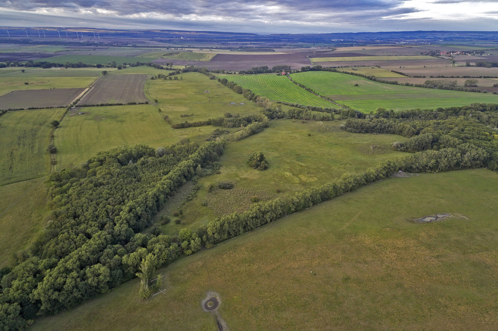 NSG 046, Blick von Süden auf zentralen und nördlichen Teil des NSG „Alperstedter Ried“ (Landkreis Sömmerda), vorn hinter dem Gehölzstreifen (= südliche NSG-Grenze): das Pferderied, Bildmitte rechts am Rand des Gehölzstreifens: Aussichtspavillon. (Foto: V. Lautenbach/ThINK GmbH/Archiv TLUBN, 09.09.2020)