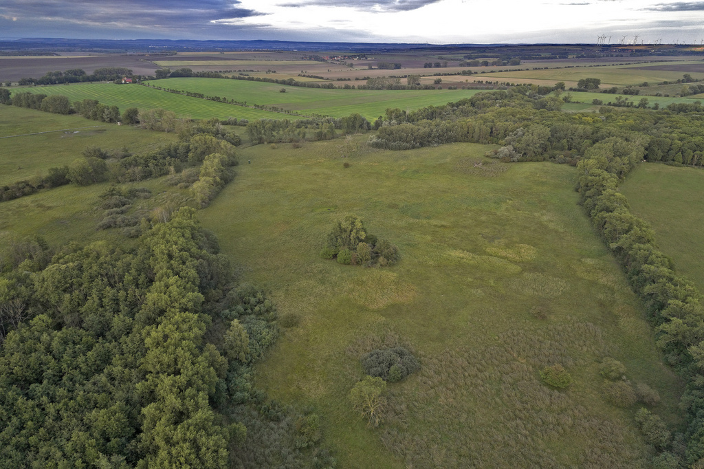 NSG 046, Blick von Südwesten auf das Pferderied im südlichen zentralen Teil des NSG "Alperstedter Ried“ (Landkreis Sömmerda), Bildmitte links hinten: Bohlenweg des Rundwanderweges und Aussichts„turm“. (Foto: V. Lautenbach /ThINK GmbH/Archiv TLUBN, 09.09.2020)