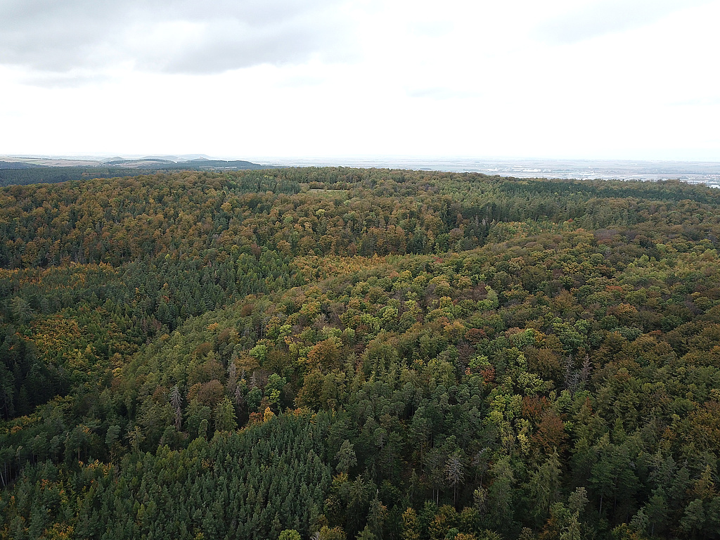 NSG 57, Blick von Süden auf den westlichsten Teil des NSG „Große Luppe“ südlich Arnstadt und östlich Siegelbach (Ilm-Kreis). Hinten halblinks: die Drei Gleichen, hinten rechts: Arnstadt. (Foto: Holm Wenzel, 22.10.2023)