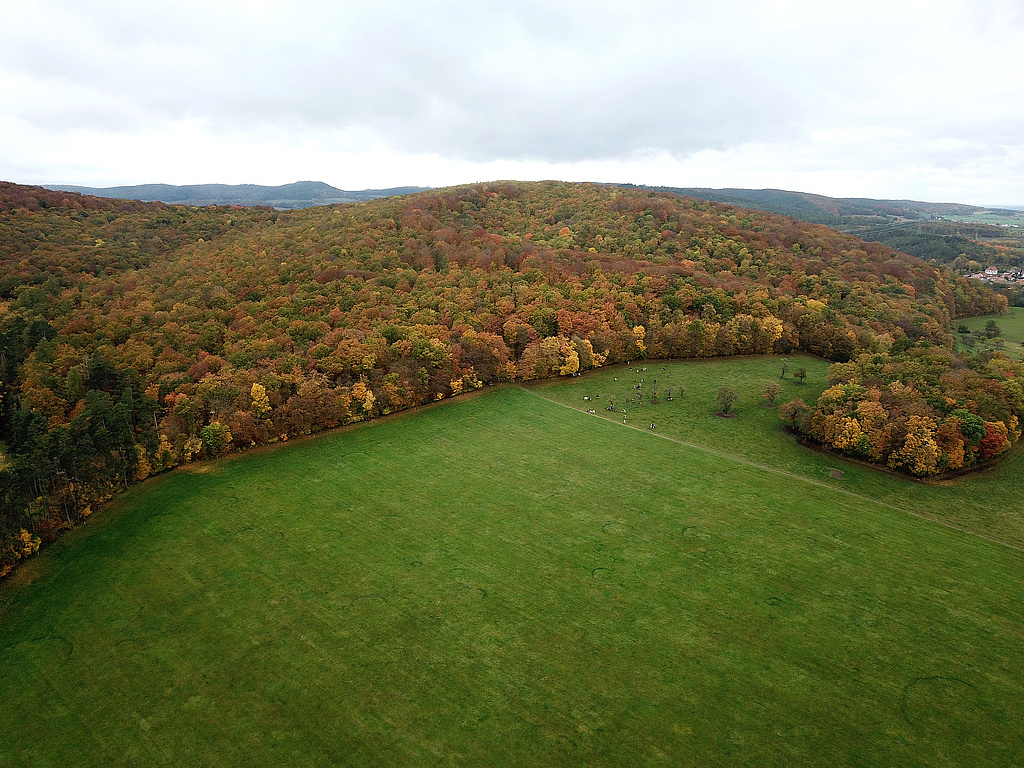 NSG 59, Blick von Osten auf den (nördlichen) Willinger Berg im gleichnamigen NSG westlich bis südlich Oberwillingen (Ilm-Kreis). (Foto: Holm Wenzel, 31.10.2023)