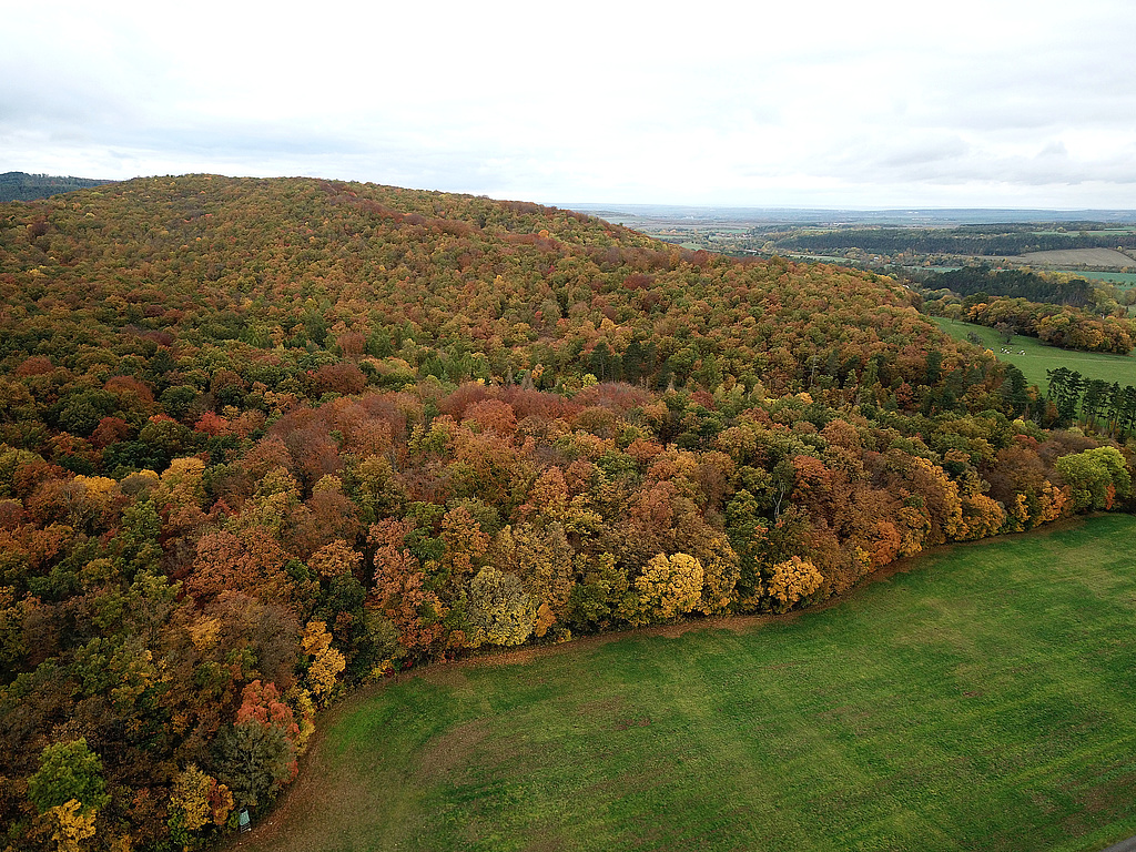 NSG 59, Blick von Südsüdosten auf den (nördlichen) Willinger Berg im gleichnamigen NSG westlich bis südlich Oberwillingen (Ilm-Kreis). Vorn im Bild: NSG-Grenze im Südosten (= Wald- und Flurstücksgrenze). (Foto: Holm Wenzel, 31.10.2023)