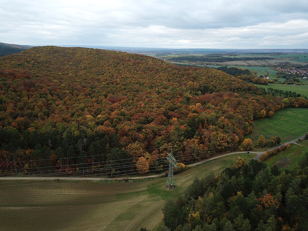 NSG 59, Blick von Südsüdosten auf den südöstlichen und zentralen Teil des NSG mit dem (nördlichen) Willinger Berg im gleichnamigen NSG westlich bis südlich Oberwillingen (Ilm-Kreis). Hinten rechts: Niederwillingen, links davor: Oberwillingen (Foto: Holm Wenzel, 31.10.2023)