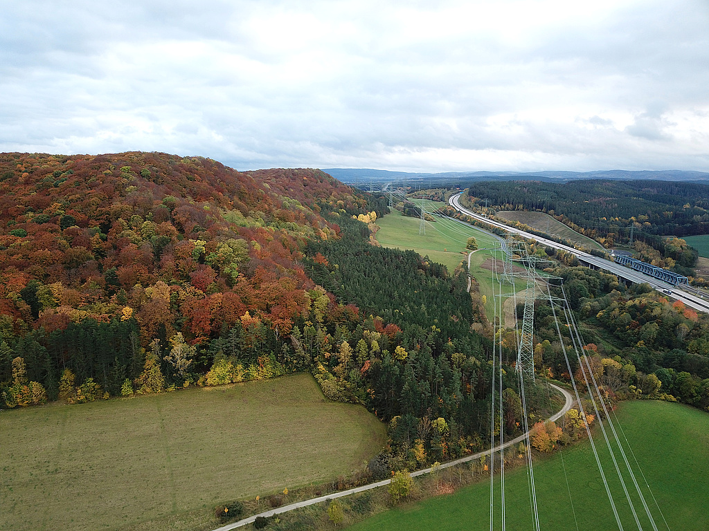 NSG 59, Blick von Norden auf die Nordwest- und Westseite des (nördlichen) Willinger Berges im gleichnamigen NSG mit aus der forstlichen Nutzung genommenem Wald. Dahinter in der hinteren Bildmitte: der südliche Willinger Berg (nicht im NSG), rechts: die hier gebündelten drei Großeingriffe in die Landschaft 380-KV-Leitung, Autobahn A71 und ICE-Trasse Erfurt-Nürnberg. (Foto: Holm Wenzel, 31.10.2023)