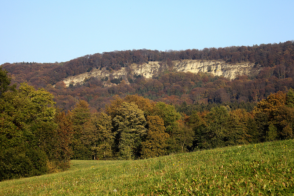 NSG 68, Blick von Südwesten zum Dietzenröder Stein (Dietzenröder Klippen) im NSG „Stein – Rachelsberg“ (Landkreis Eichsfeld). (Foto: Holm Wenzel 23.10.2011)