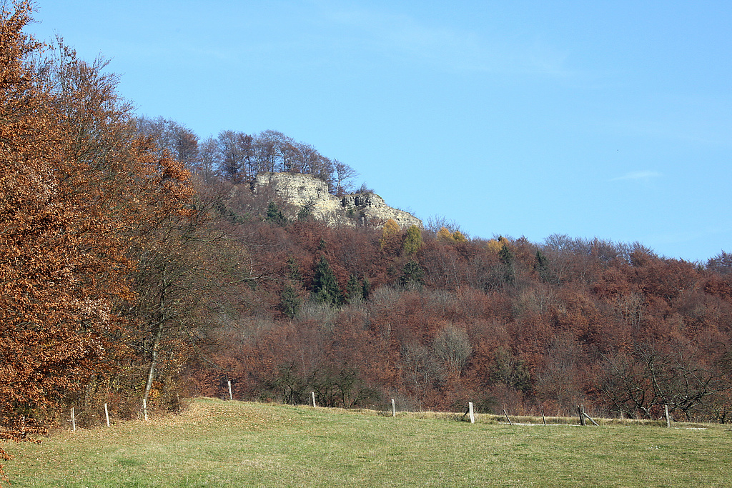 NSG 68, Blick vom Bärentriesch nördlich Asbach (Landkreis Eichsfeld) nach Nordosten zur „Nase“. (Foto: Holm Wenzel 06.11.2011)