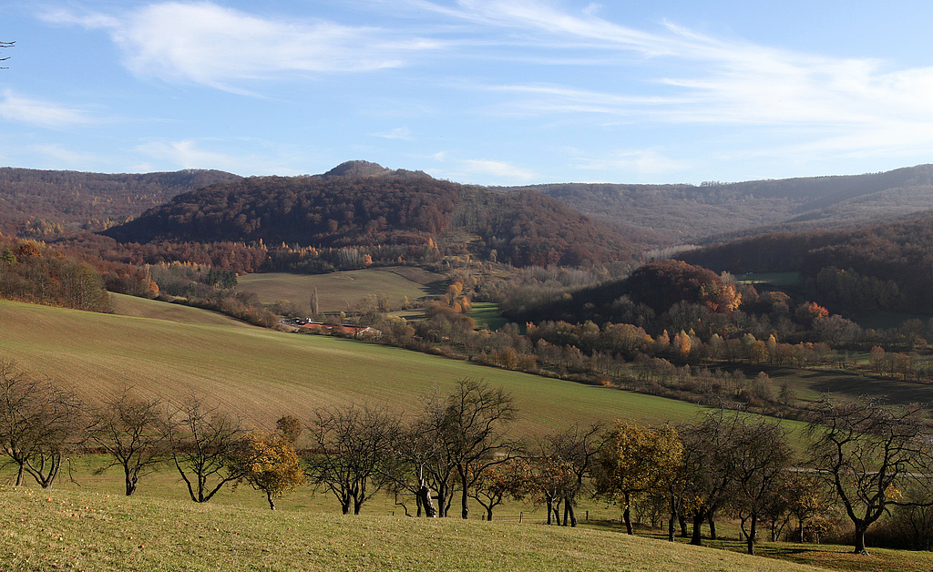 NSG 68, Blick vom Bärentriesch nördlich Asbach (Landkreis Eichsfeld) nach Südosten über das Tal des Alten Hainsbaches zum Rachelsberg (hinten links), Iberg mit ehemaligem Grenzstreifen (Bildmitte) und dahinter Hesselkopf (Hesselkuppe). Hinten rechts: das hessische NSG „Kalkklippen südlich des Iberges“. (Foto: Holm Wenzel 06.11.2011)