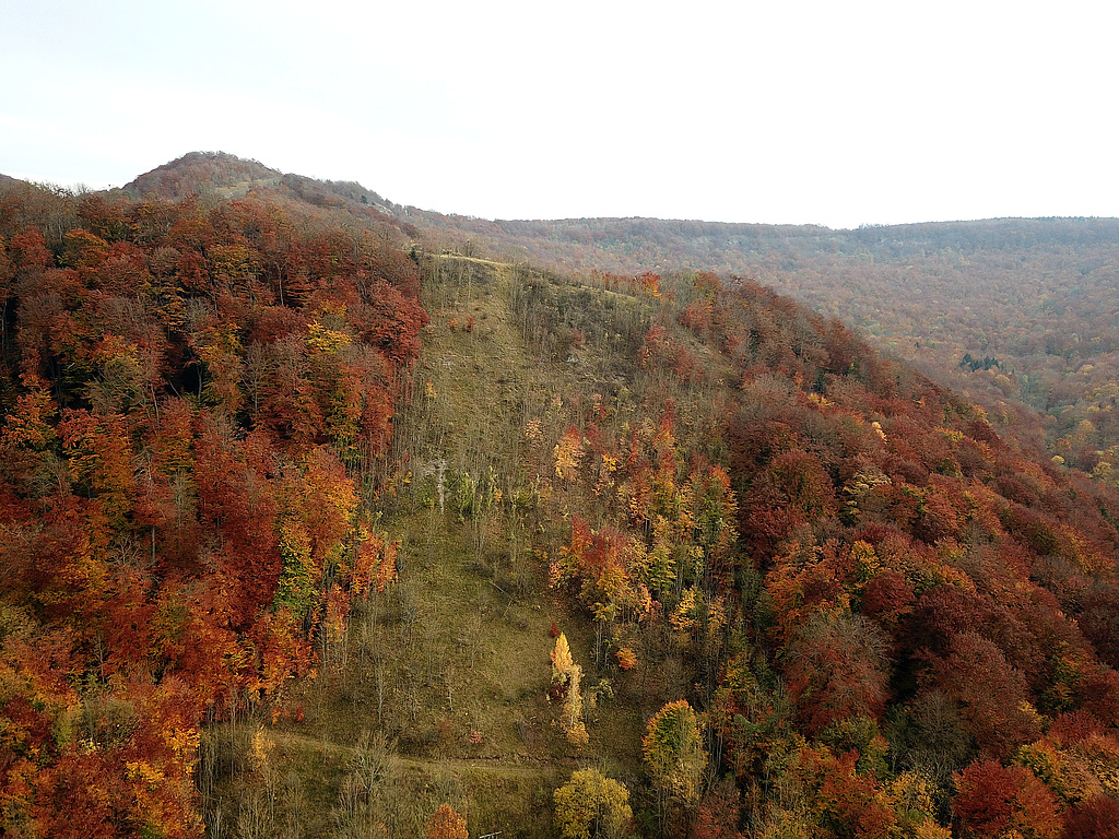 NSG 68, Blick nach Südosten auf den ehemaligen Grenzstreifen (Nationales Naturmonument „Grünes Band Thüringen“) am Iberg östlich Asbach (Landkreis Eichsfeld), links dahinter auf den Hesselkopf (Hesselkuppe) sowie auf das hessische NSG „Kalkklippen südlich des Iberges“ (hinten Bildmitte bis rechts). (Foto: Holm Wenzel 30.10.2021)